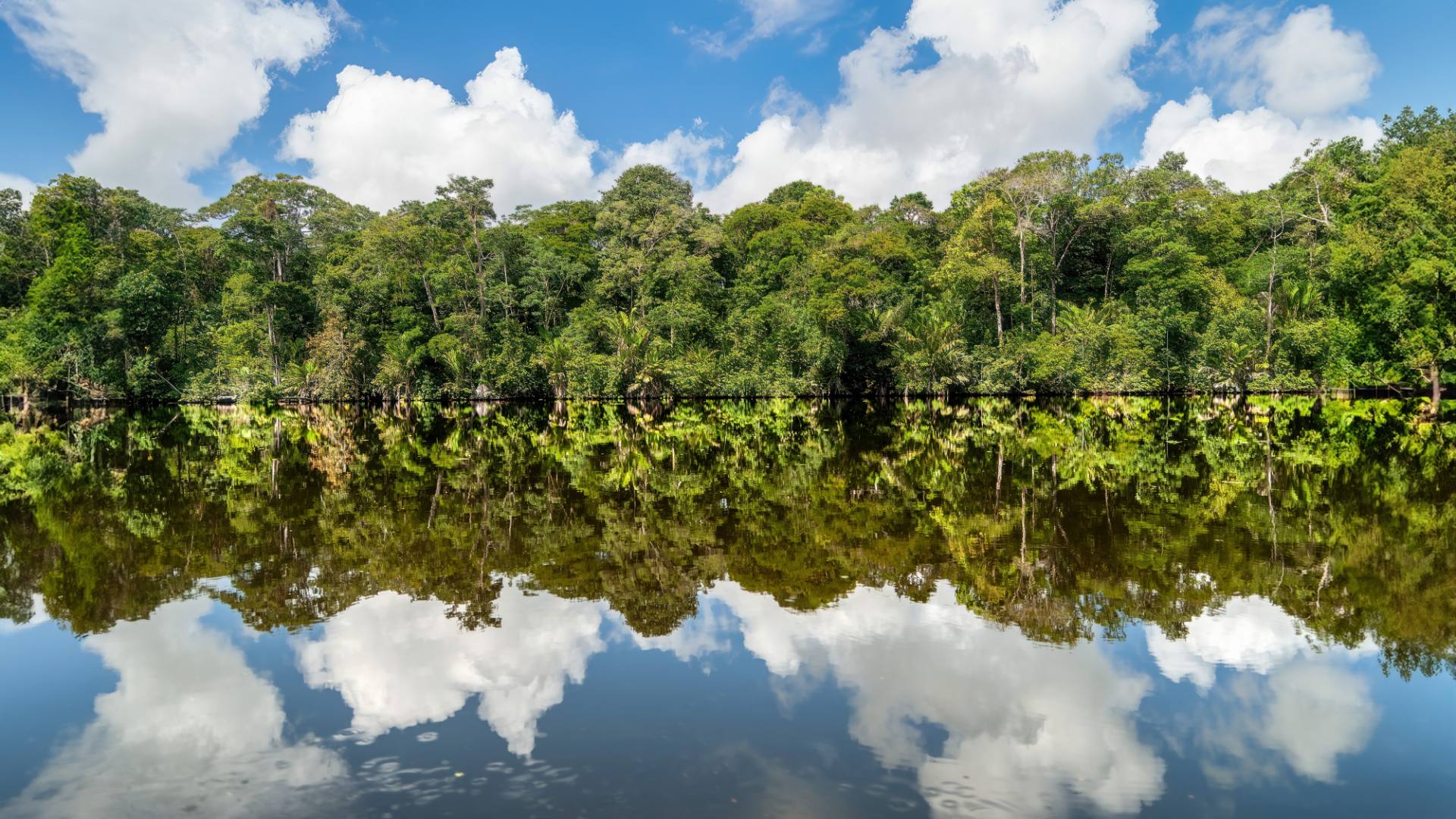 Bootsfahrt im NP Tortuguero